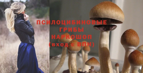винт Белокуриха